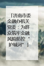 济南市委金融办机关党委：为群众筑牢金融风险防控“护城河”