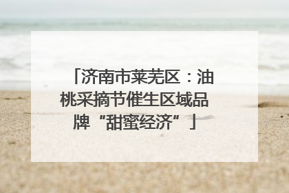 济南市莱芜区：油桃采摘节催生区域品牌“甜蜜经济”