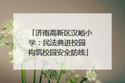 济南高新区汉峪小学：民法典进校园 构筑校园安全防线