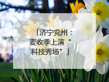 济宁兖州：麦收季上演“科技秀场”