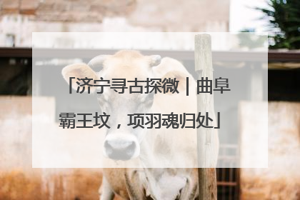 济宁寻古探微｜曲阜霸王坟，项羽魂归处