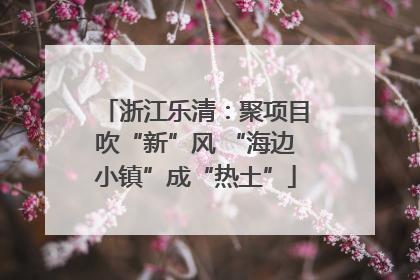 浙江乐清：聚项目吹“新”风 “海边小镇”成“热土”