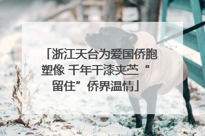 浙江天台为爱国侨胞塑像 千年干漆夹苎“留住”侨界温情
