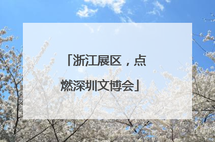 浙江展区，点燃深圳文博会