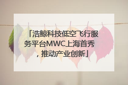 浩鲸科技低空飞行服务平台MWC上海首秀，推动产业创新