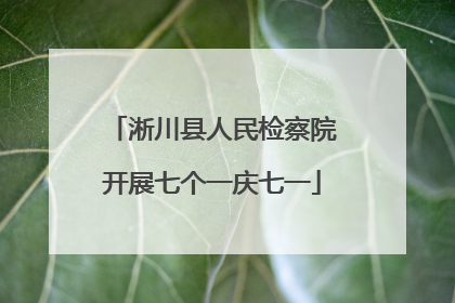 淅川县人民检察院开展七个一庆七一