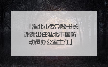 淮北市委副秘书长谢谢出任淮北市国防动员办公室主任