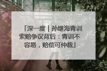 深一度｜孙继海青训索赔争议背后：青训不容易，赔偿可仲裁