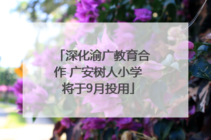 深化渝广教育合作 广安树人小学将于9月投用