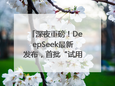 深夜重磅！DeepSeek最新发布，首批“试用体验”出炉→