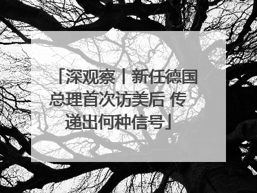 深观察丨新任德国总理首次访美后 传递出何种信号