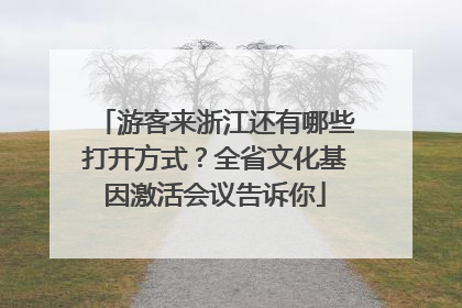 游客来浙江还有哪些打开方式？全省文化基因激活会议告诉你