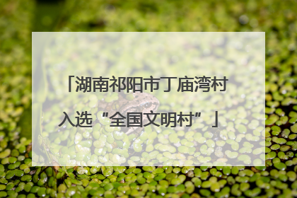 湖南祁阳市丁庙湾村入选“全国文明村”