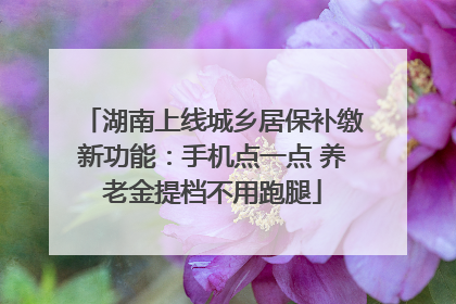湖南上线城乡居保补缴新功能：手机点一点 养老金提档不用跑腿