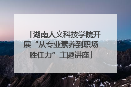 湖南人文科技学院开展“从专业素养到职场胜任力”主题讲座