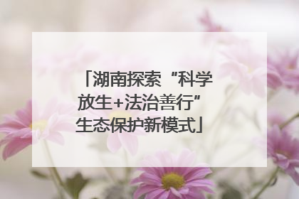 湖南探索“科学放生+法治善行”生态保护新模式