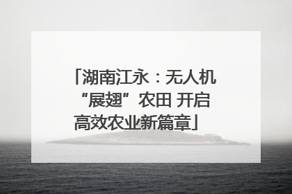 湖南江永：无人机“展翅”农田 开启高效农业新篇章