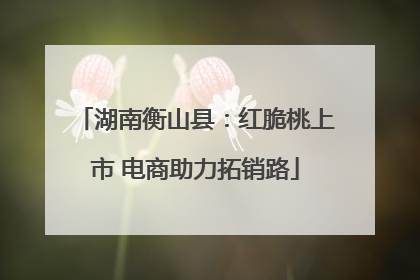 湖南衡山县：红脆桃上市 电商助力拓销路