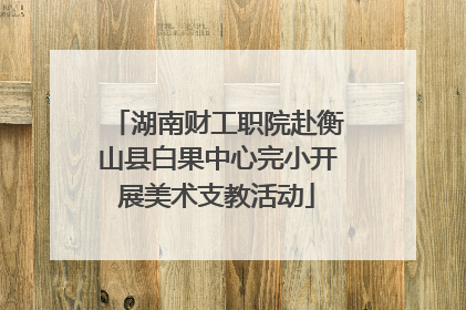 湖南财工职院赴衡山县白果中心完小开展美术支教活动