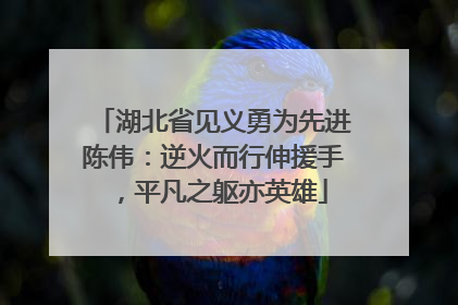湖北省见义勇为先进陈伟：逆火而行伸援手，平凡之躯亦英雄