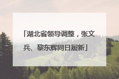 湖北省领导调整，张文兵、黎东辉同日履新
