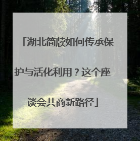 湖北简牍如何传承保护与活化利用？这个座谈会共商新路径