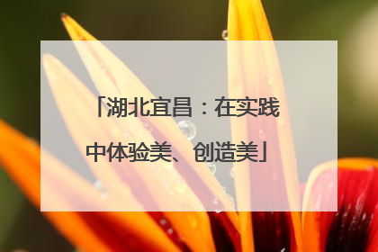 湖北宜昌：在实践中体验美、创造美