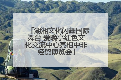 湖湘文化闪耀国际舞台 爱晚亭红色文化交流中心亮相中非经贸博览会