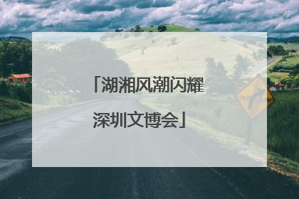 湖湘风潮闪耀深圳文博会