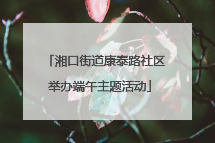 湘口街道康泰路社区举办端午主题活动