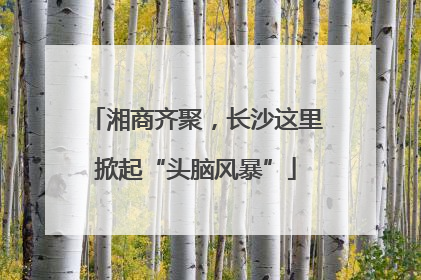 湘商齐聚，长沙这里掀起“头脑风暴”