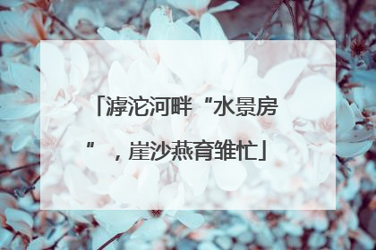 滹沱河畔“水景房”，崖沙燕育雏忙