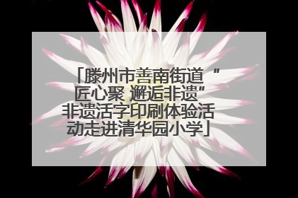 滕州市善南街道“匠心聚 邂逅非遗”非遗活字印刷体验活动走进清华园小学
