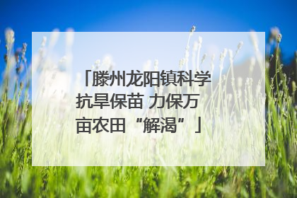 滕州龙阳镇科学抗旱保苗 力保万亩农田“解渴”