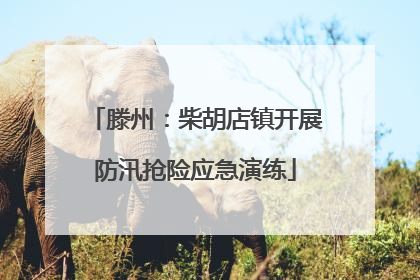 滕州：柴胡店镇开展防汛抢险应急演练