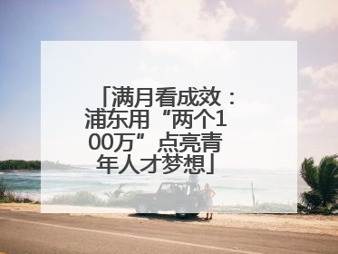 满月看成效：浦东用“两个100万”点亮青年人才梦想