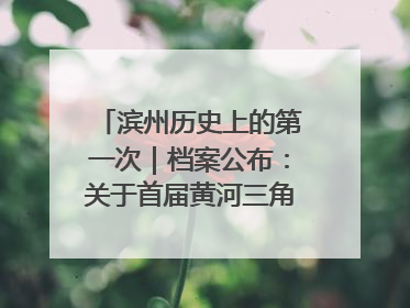 滨州历史上的第一次｜档案公布：关于首届黄河三角洲城市经济博览会暨发展论坛情况的总结报告
