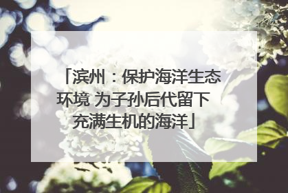 滨州：保护海洋生态环境 为子孙后代留下充满生机的海洋