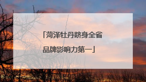 菏泽牡丹跻身全省品牌影响力第一