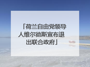 荷兰自由党领导人维尔德斯宣布退出联合政府