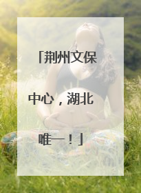 荆州文保中心，湖北唯一！
