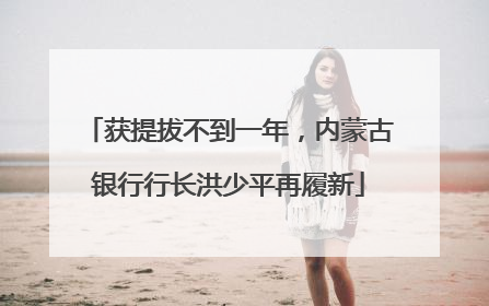 获提拔不到一年，内蒙古银行行长洪少平再履新