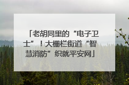 老胡同里的“电子卫士”！大栅栏街道“智慧消防”织就平安网