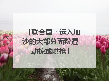 联合国：运入加沙的大部分面粉遭劫掠或哄抢