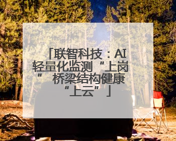 联智科技：AI轻量化监测“上岗” 桥梁结构健康“上云”