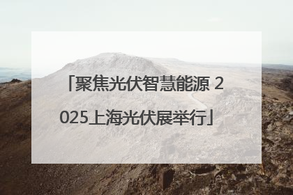 聚焦光伏智慧能源 2025上海光伏展举行