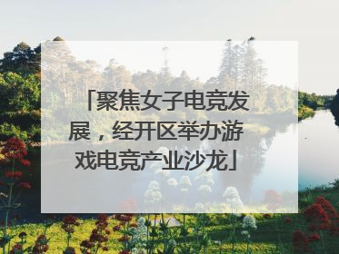 聚焦女子电竞发展，经开区举办游戏电竞产业沙龙