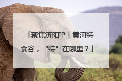 聚焦济阳IP｜黄河特食谷，“特”在哪里？