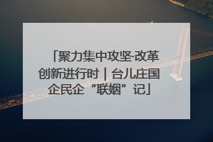聚力集中攻坚·改革创新进行时｜台儿庄国企民企“联姻”记