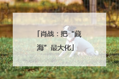 肖战：把“藏海”最大化
